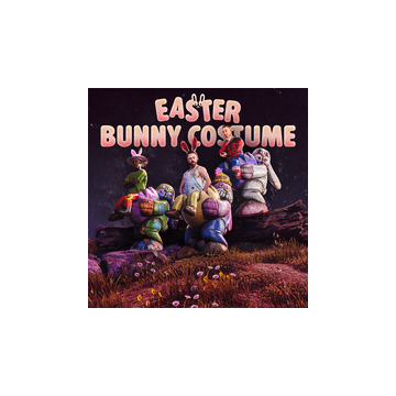 Bunny Costume