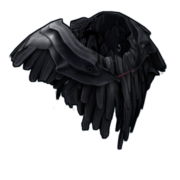 Raven Poncho