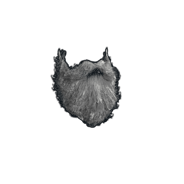 Santa Beard