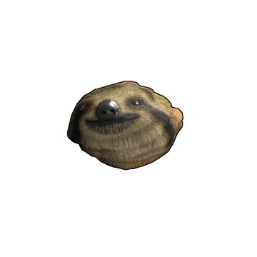 Sloth Rock