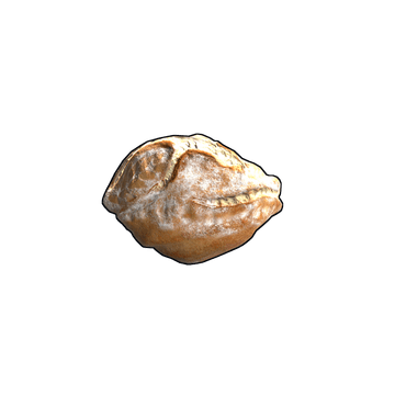 Sourdough Bread
