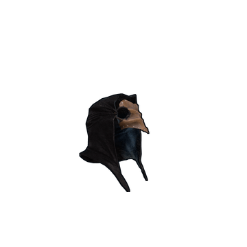 The Plague Doctor