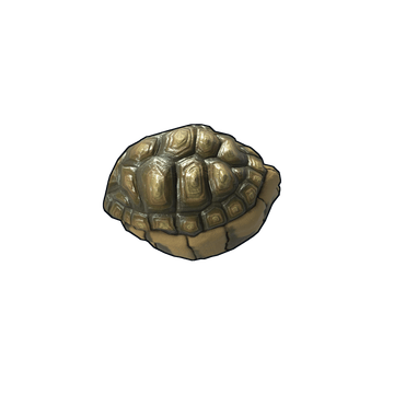 Tortoise Rock